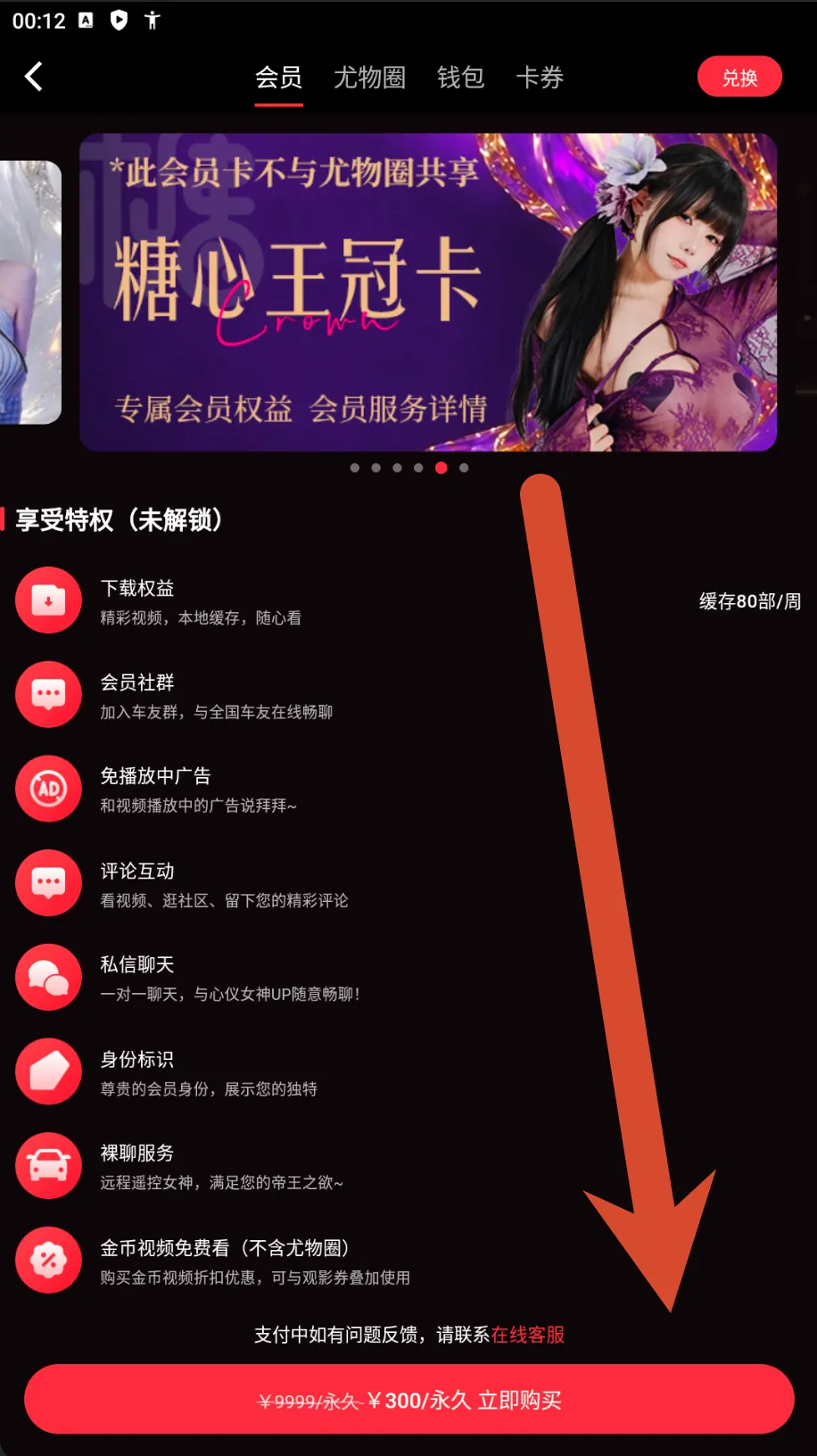 糖心Vlog皇冠会员卡价格截图